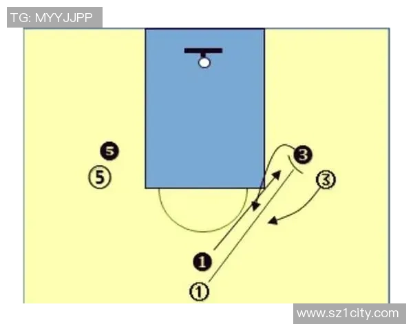 杭州篮球队区域防守策略解析与战术深度剖析